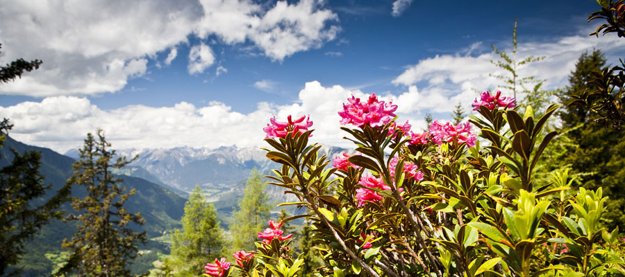 urlaub-oetztal-appartements