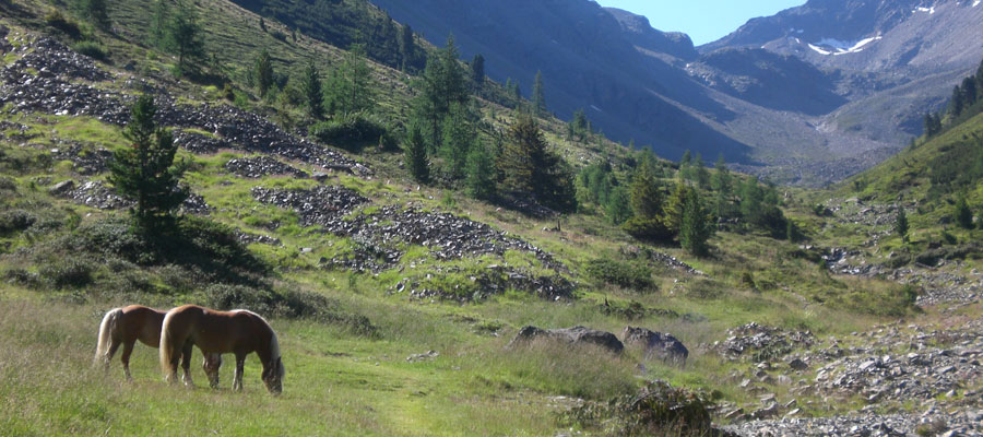 urlaub-oetztal-appartements